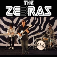 เพลง เบาๆหน่อย The Zebras Feat.Pearl Prinky Groove ฟังเพลง MV เพลงเบาๆหน่อย | เพลงไทย