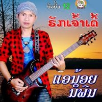 ฟังเพลง หนุ่มโส้งขาดเข่า - แอน้อย นิพน (ฟังเพลงหนุ่มโส้งขาดเข่า) | เพลงไทย