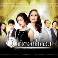 เพลง อยู่โดยไม่เหลือใคร แนน วาทิยา - เพลงประกอบละคร อาทิตย์ชิงดวง ฟังเพลง MV เพลงอยู่โดยไม่เหลือใคร | เพลงไทย